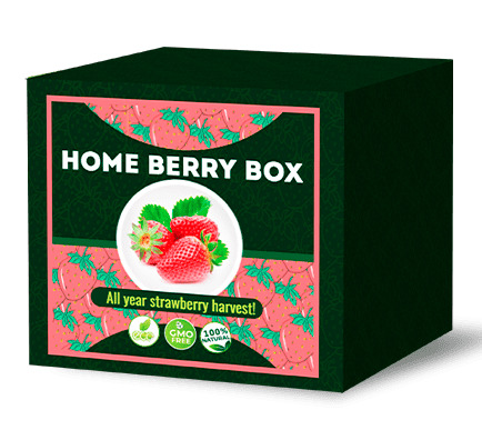 Kit Home Berry Box Fragole prezzo